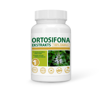 ORTOSIFONA EKSTRAKTS