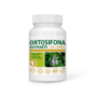 ORTOSIFONA EKSTRAKTS