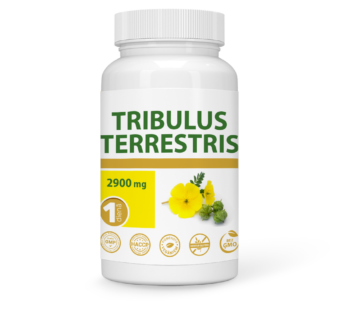 TRIBULUS TERRESTRIS