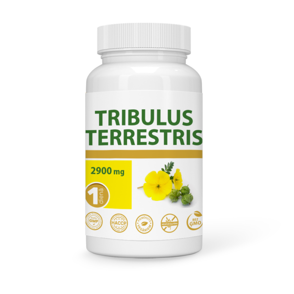 TRIBULUS TERRESTRIS
