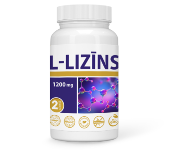 L-LIZĪNS